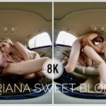 Sex With Adriana In The Car From A Different Perspective