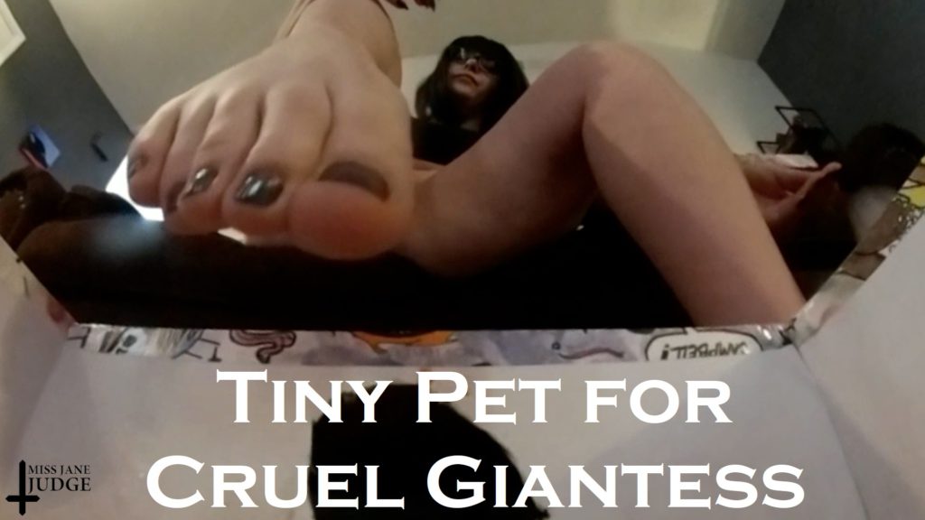 Tiny Pet for Cruel Giantess