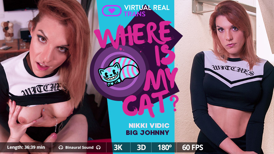 [Trans] Where Is My Cat Nikki Vidic